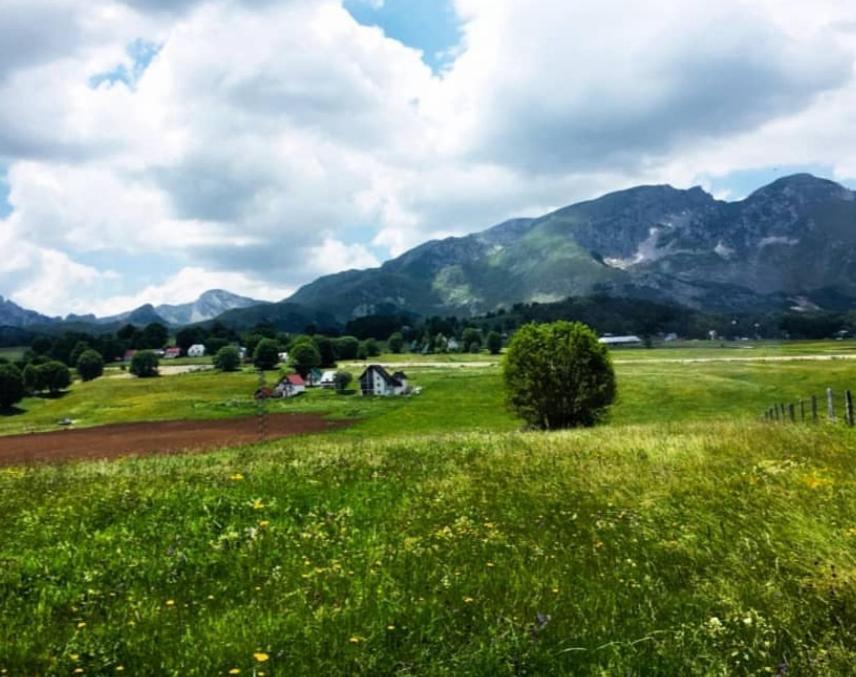 Mountain Peaceful Cottages Žabljak Exteriér fotografie